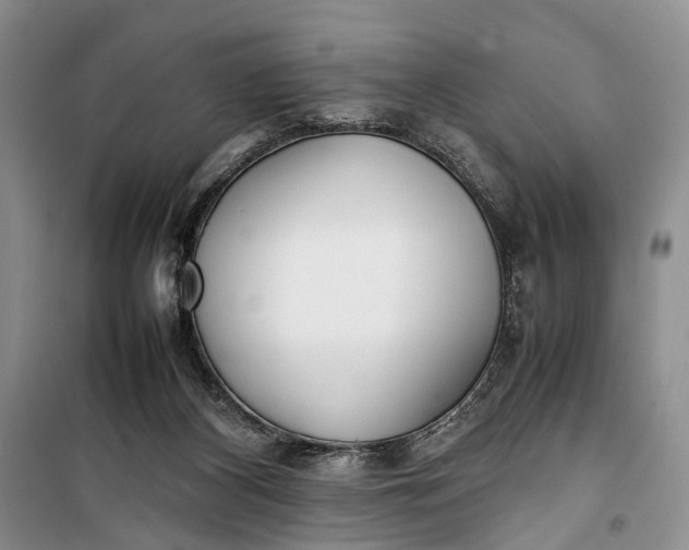 X0000100220116200806131323