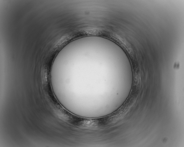 X0000100220117200806131323