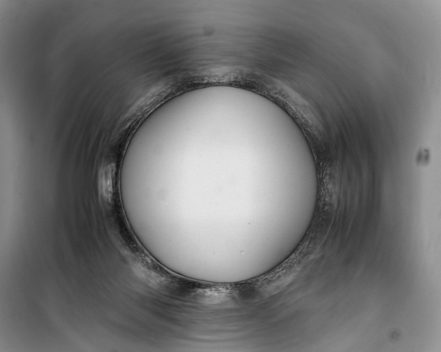 X0000100220118200806131323