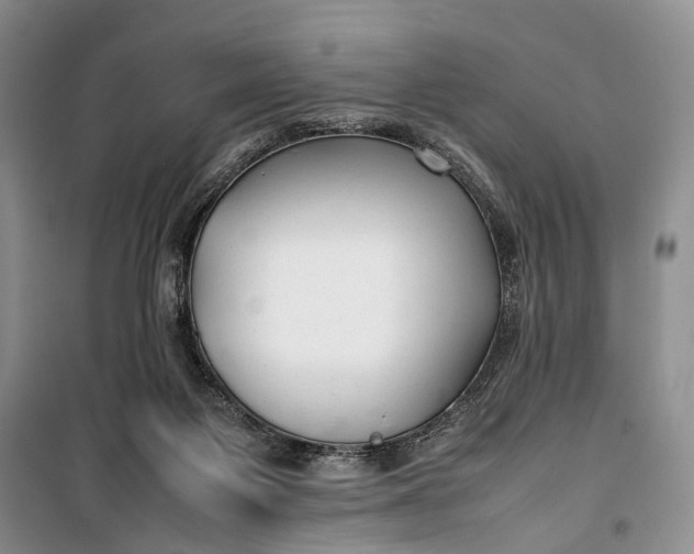 X0000100220119200806131323