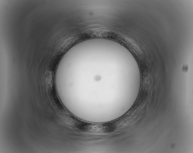 X0000100220121200806131323