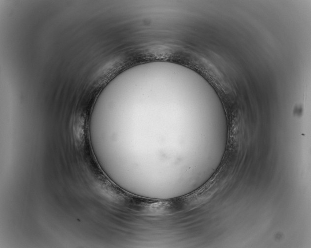 X0000100220122200806131323