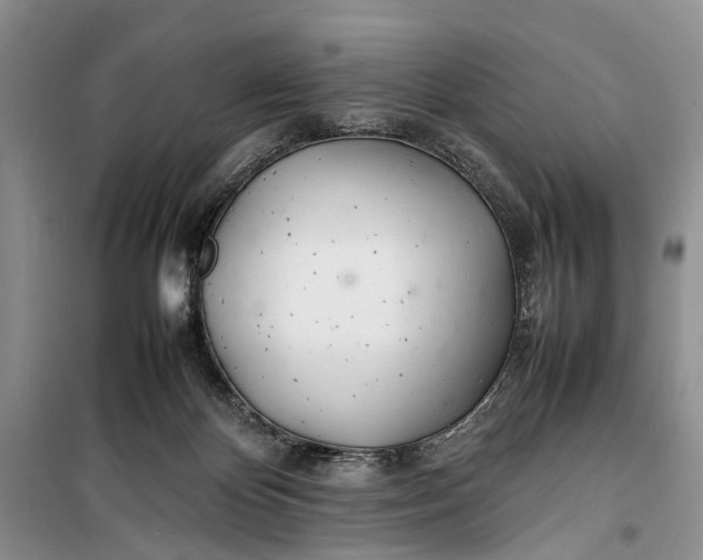 X0000100220124200806131323