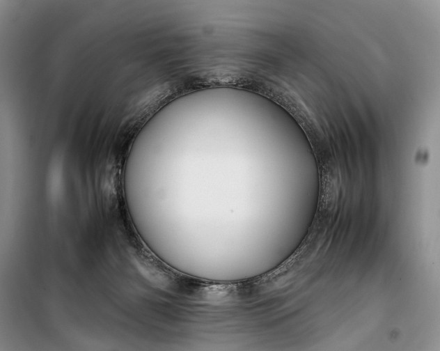 X0000100220126200806131323