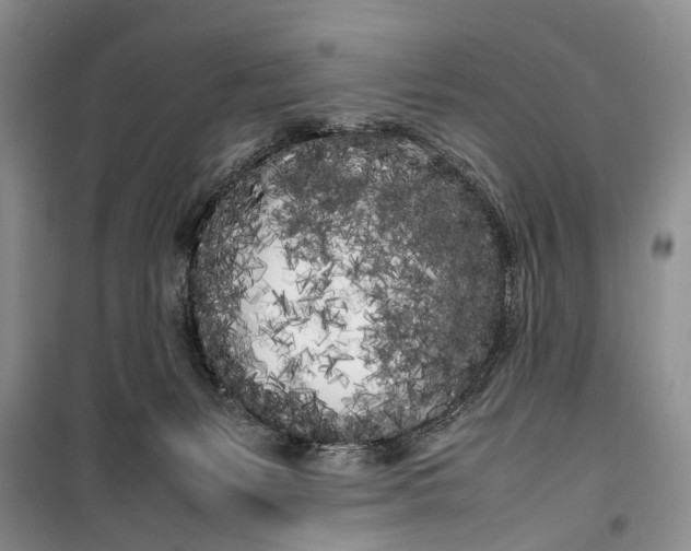 X0000100220127200806131323