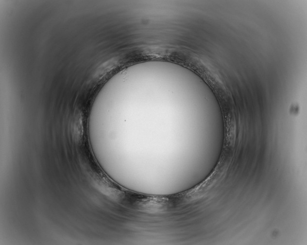 X0000100220128200806131322