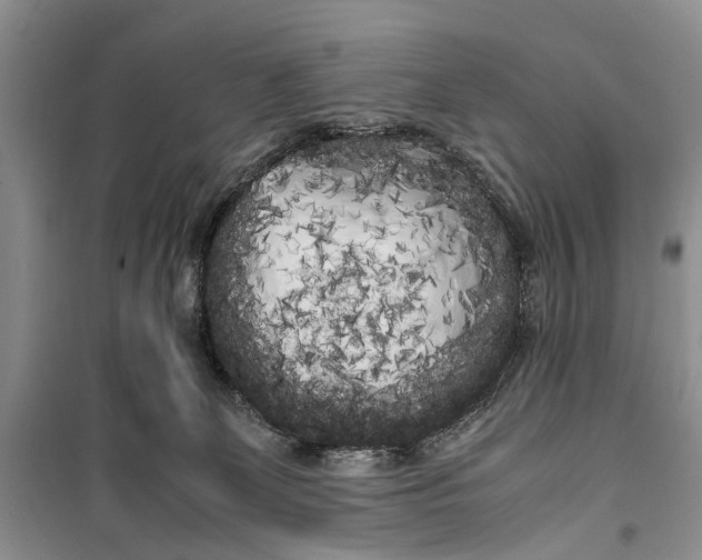 X0000100220131200806131322