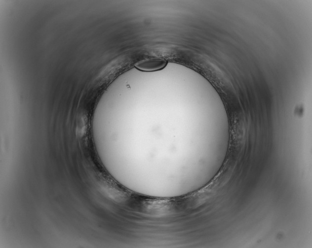 X0000100220132200806131322