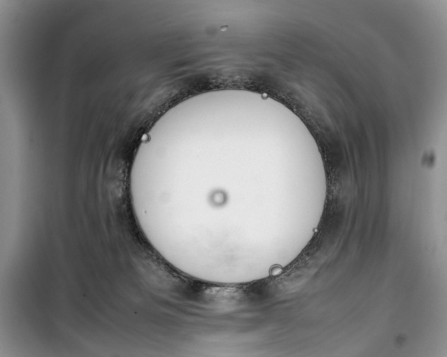 X0000100220133200806131322