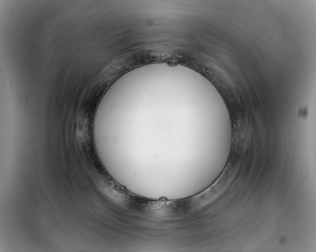 X0000100220136200806131322