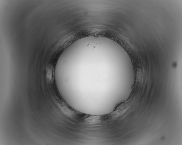 X0000100220138200806131322