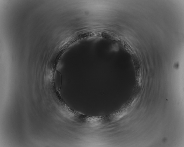 X0000100220139200806131322