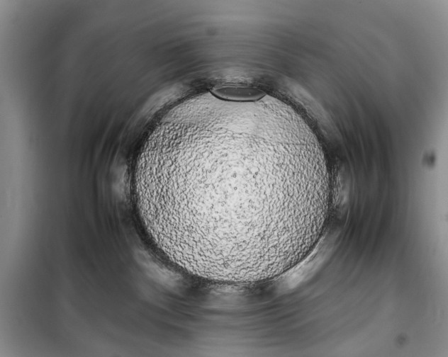 X0000100220140200806131322