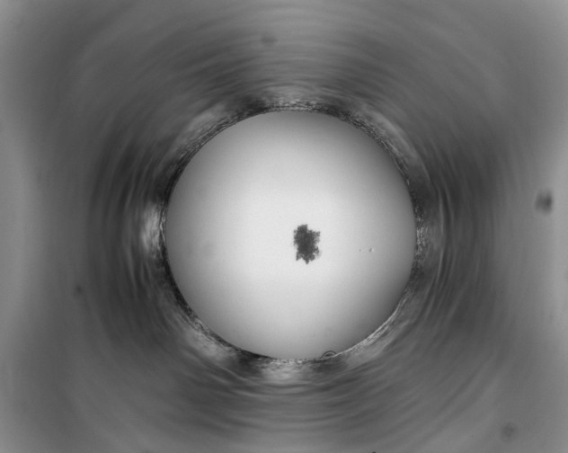 X0000100220142200806131322