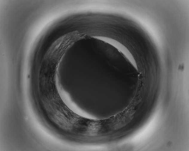 X0000100220143200806131322