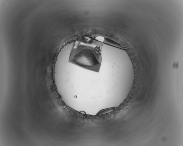 X0000100220144200806131322