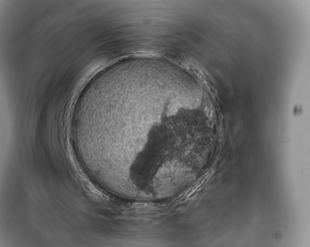 X0000100220145200806131322