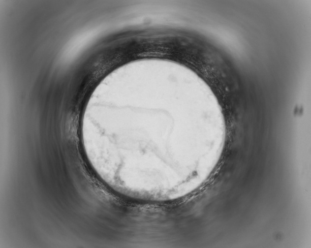 X0000100220146200806131322