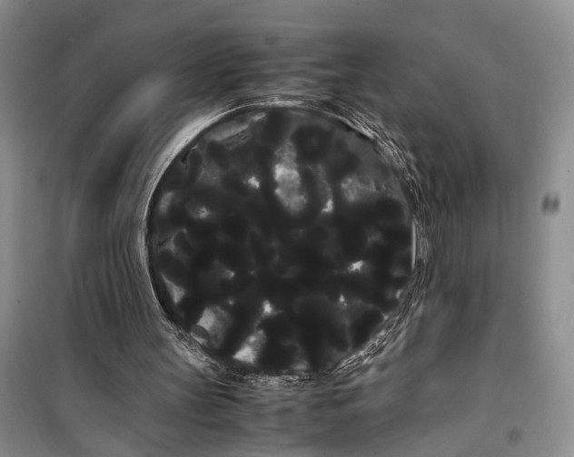 X0000100220147200806131322