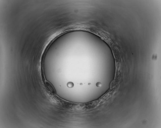 X0000100220148200806131322