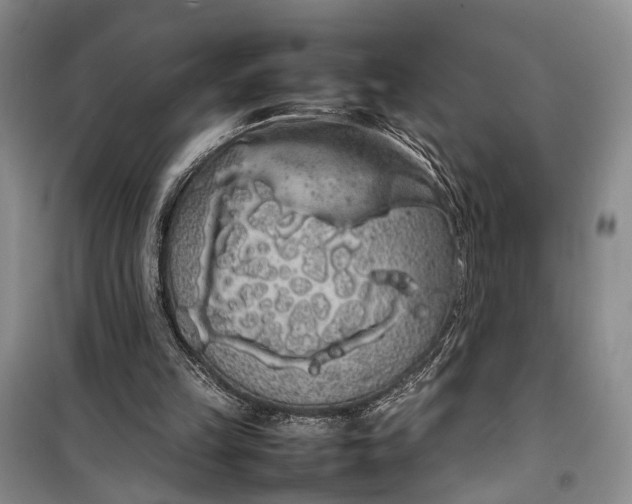 X0000100220149200806131322