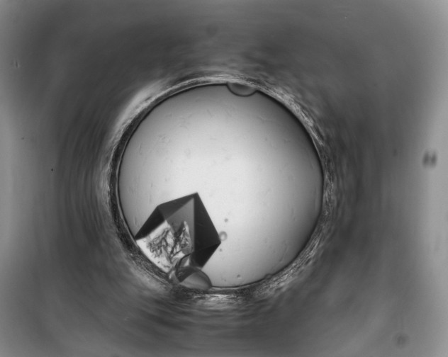 X0000100220151200806131322