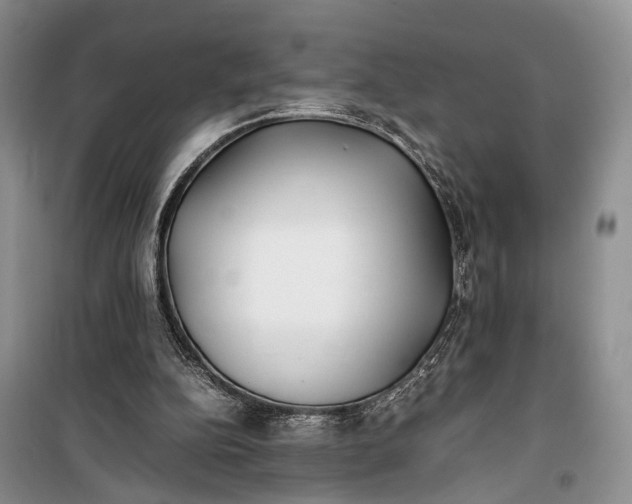 X0000100220152200806131322