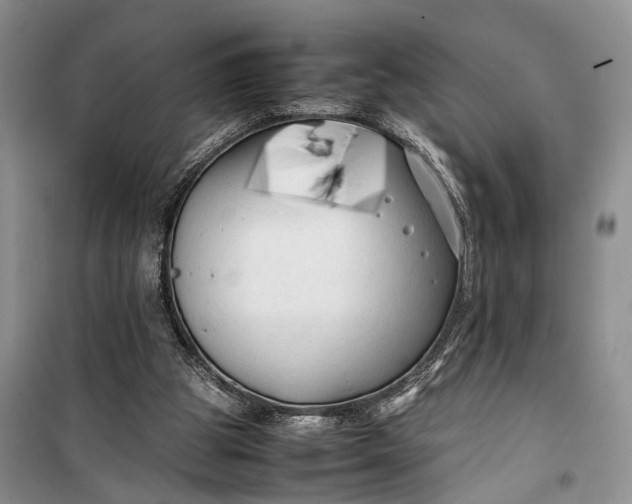 X0000100220153200806131322