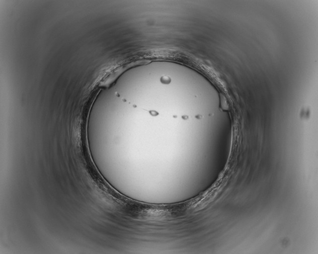 X0000100220154200806131322