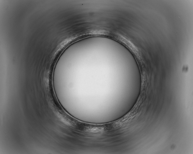 X0000100220155200806131322