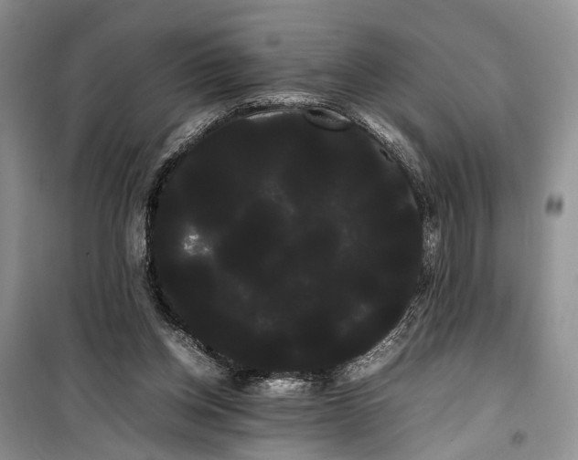 X0000100220158200806131322