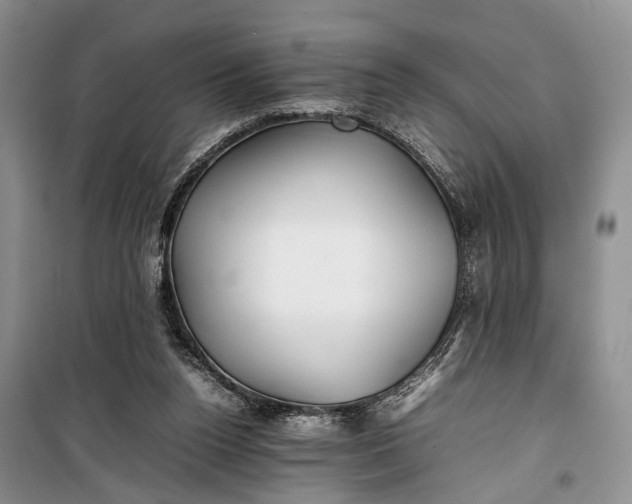 X0000100220160200806131322