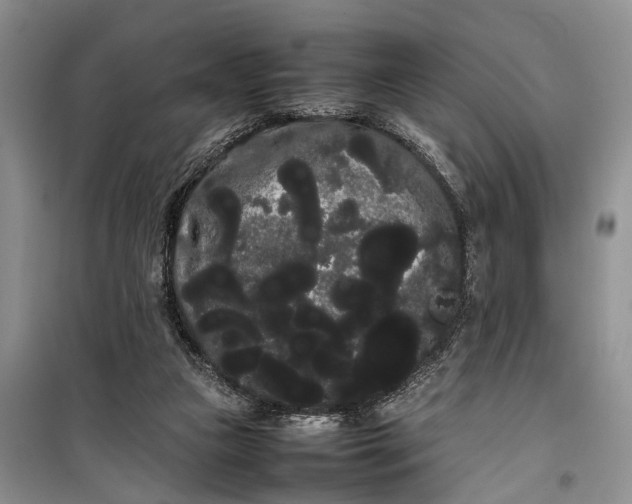 X0000100220161200806131322