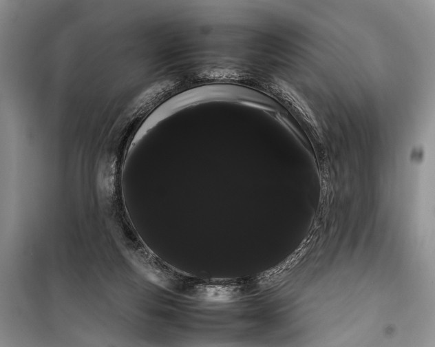 X0000100220163200806131322