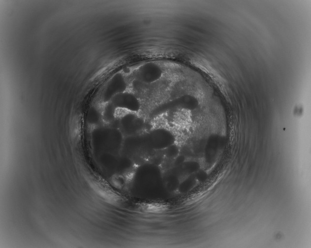 X0000100220165200806131322