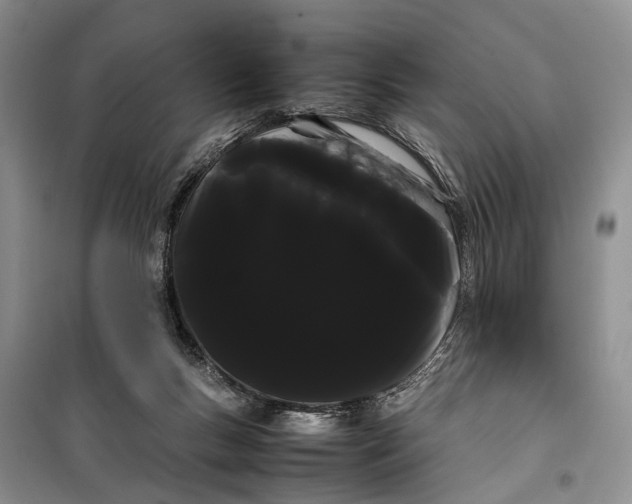 X0000100220167200806131322