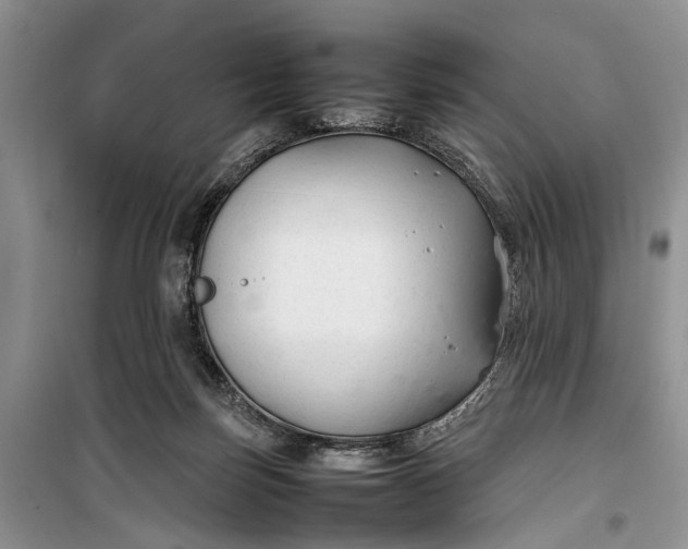 X0000100220171200806131322