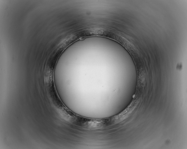 X0000100220172200806131322