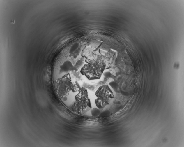 X0000100220175200806131322