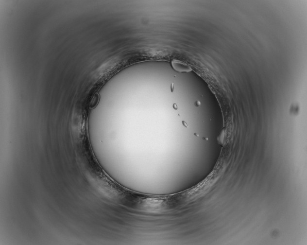 X0000100220176200806131322