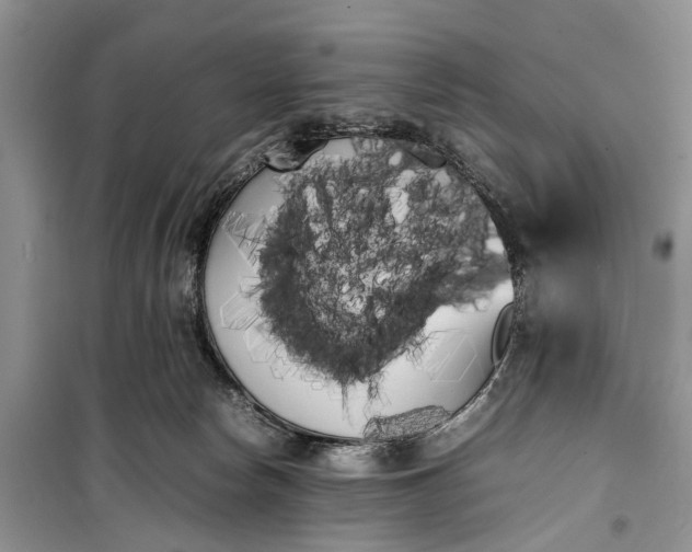 X0000100220178200806131322