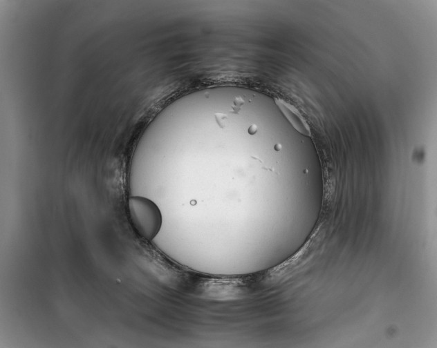 X0000100220179200806131322