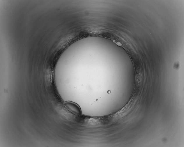 X0000100220180200806131322