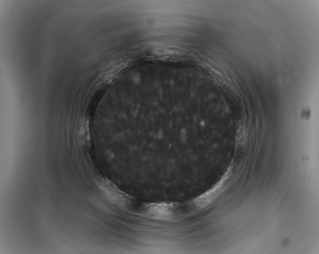 X0000100220182200806131322