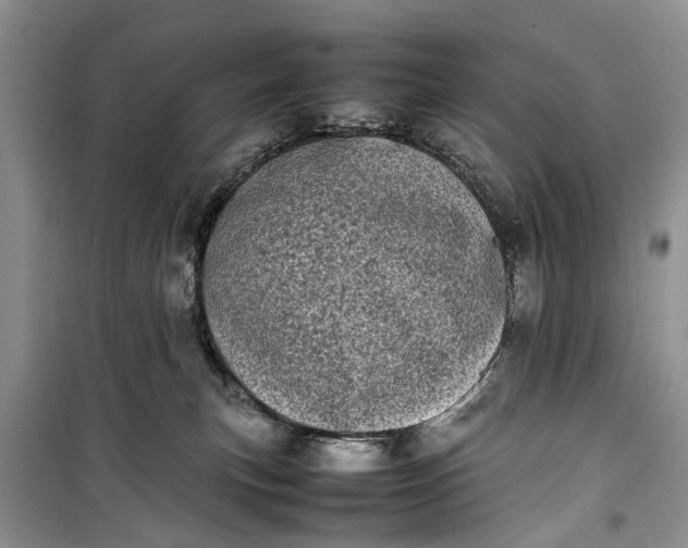 X0000100220183200806131322