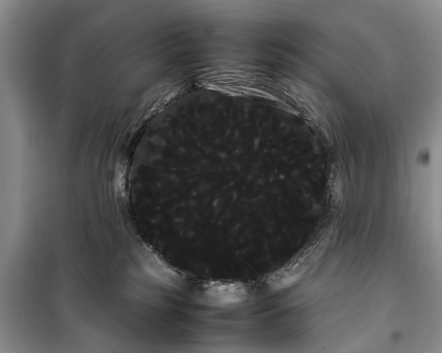 X0000100220185200806131322