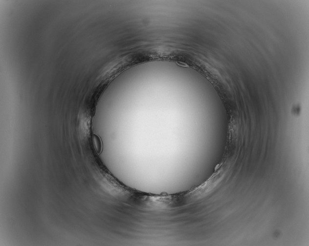 X0000100220188200806131322