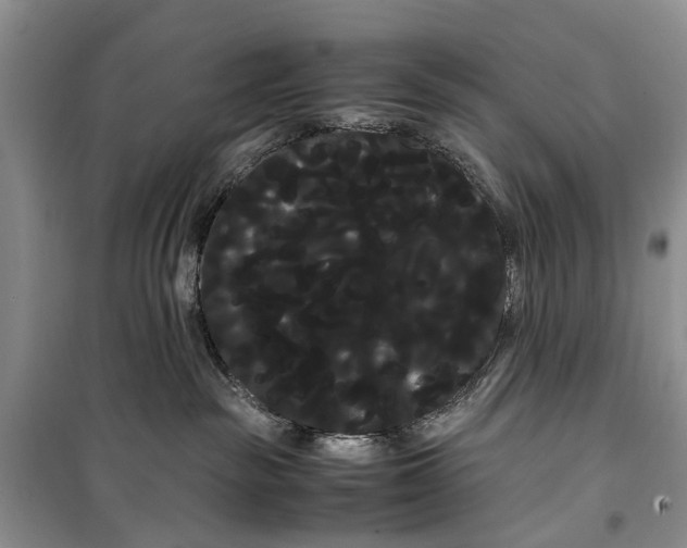 X0000100220189200806131322