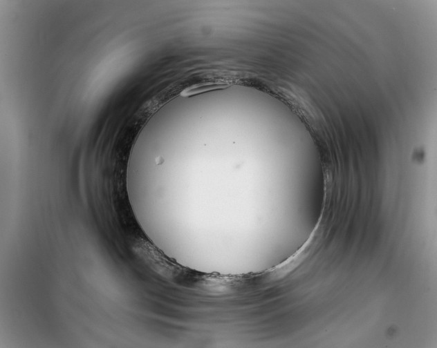 X0000100220190200806131322