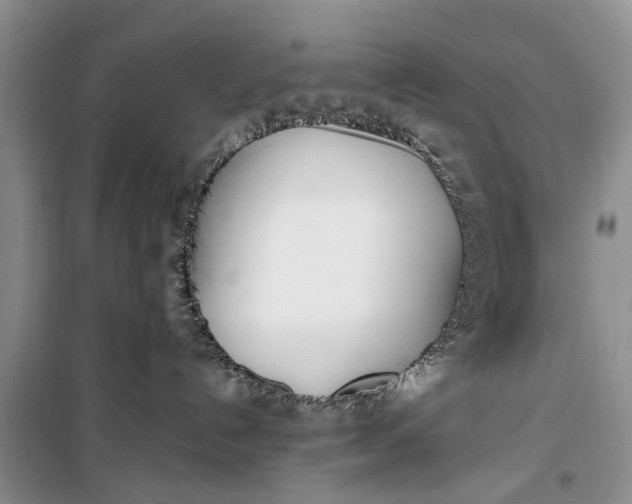 X0000100220192200806131322